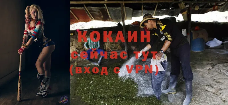 COCAIN VHQ  Полярные Зори 